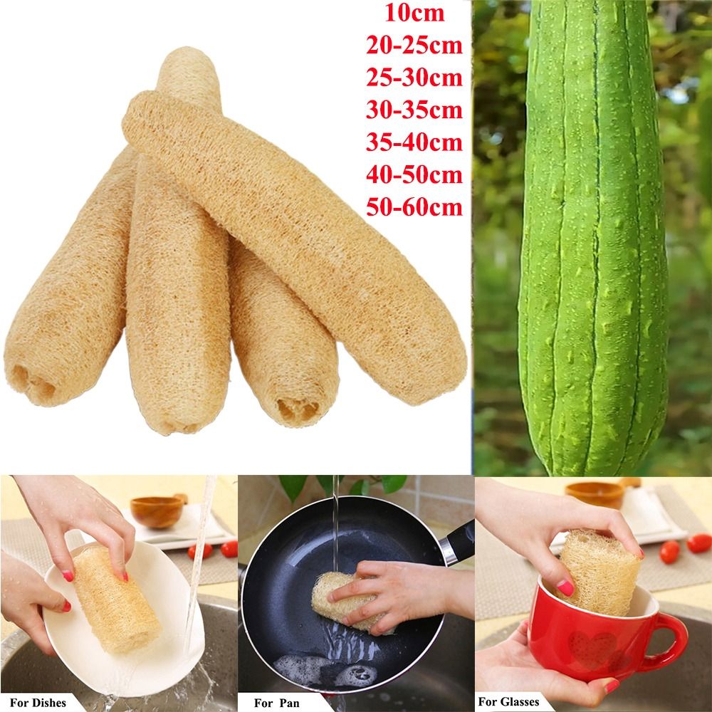 Body Loofah Natural - Éponge naturelle en loofah, longue, écologique,