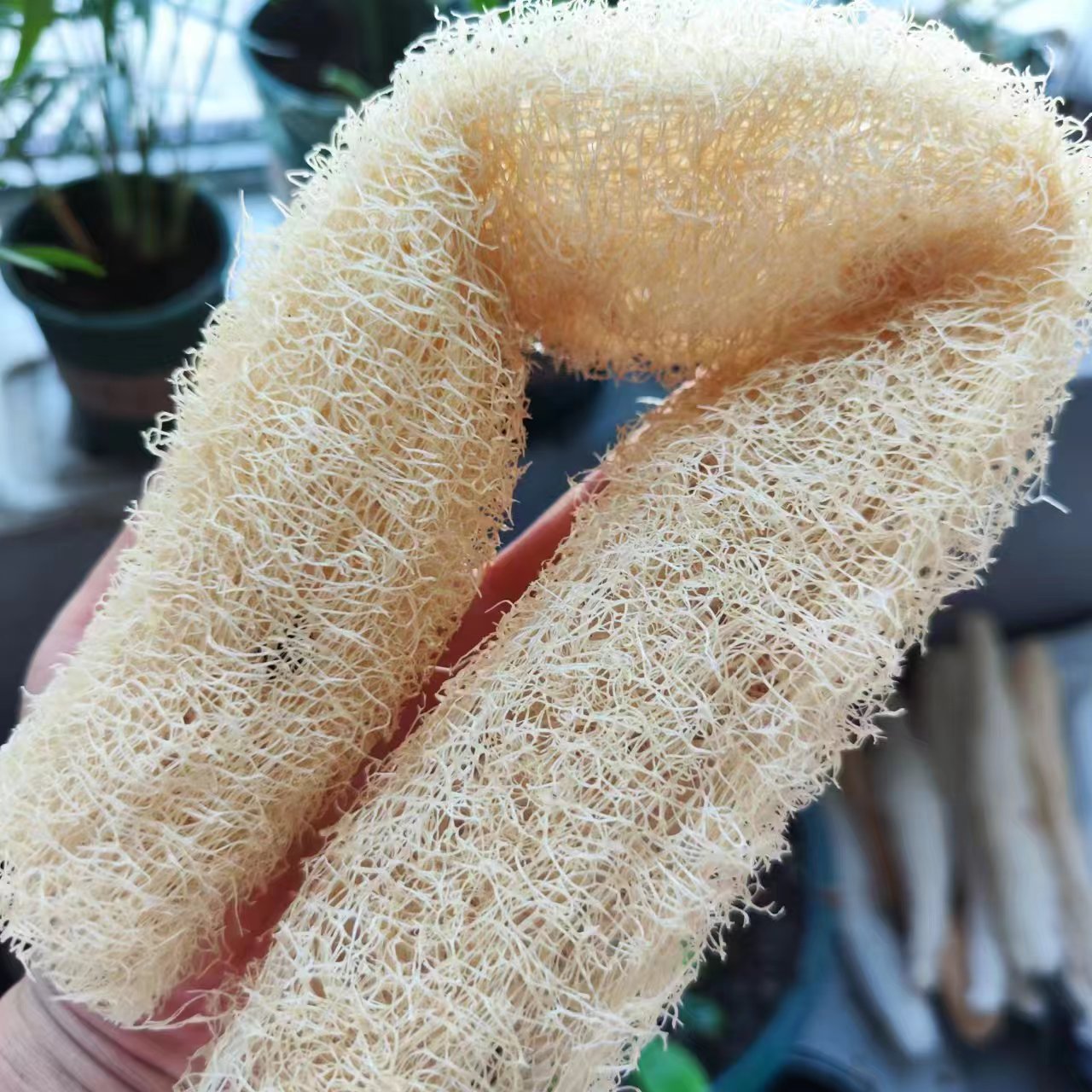 Body Loofah Natural - Merveilleuse éponge luffa polyvalente contre les