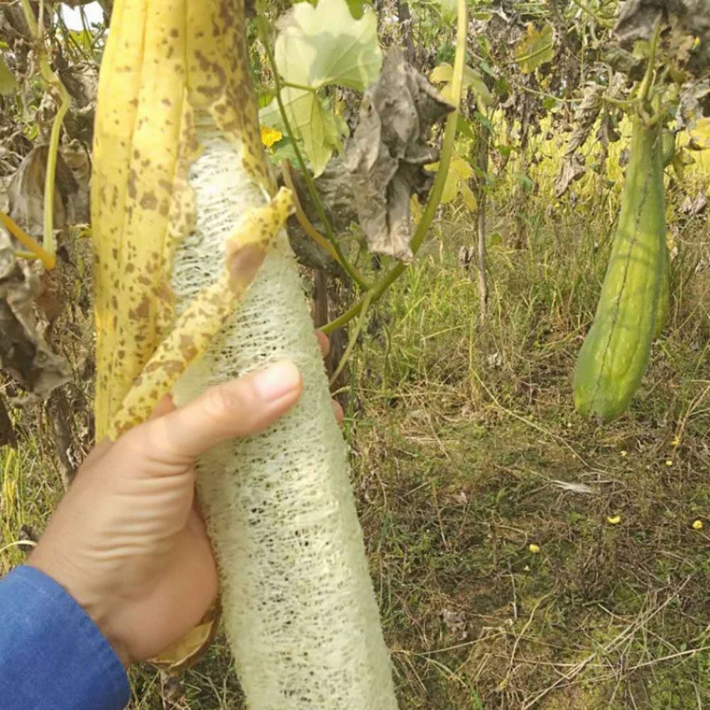 Éponge Luffa naturelle antiari - Body Loofah Natural avis et prix