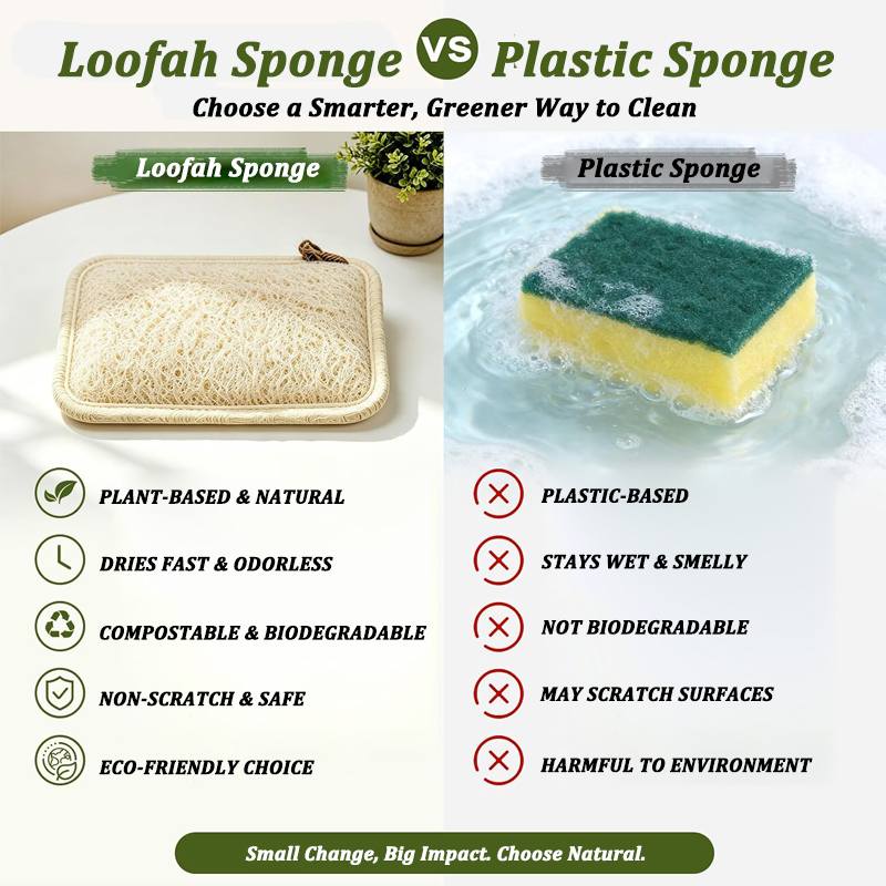 Éponge de loofah naturelle réu - Body Loofah Natural avis et prix